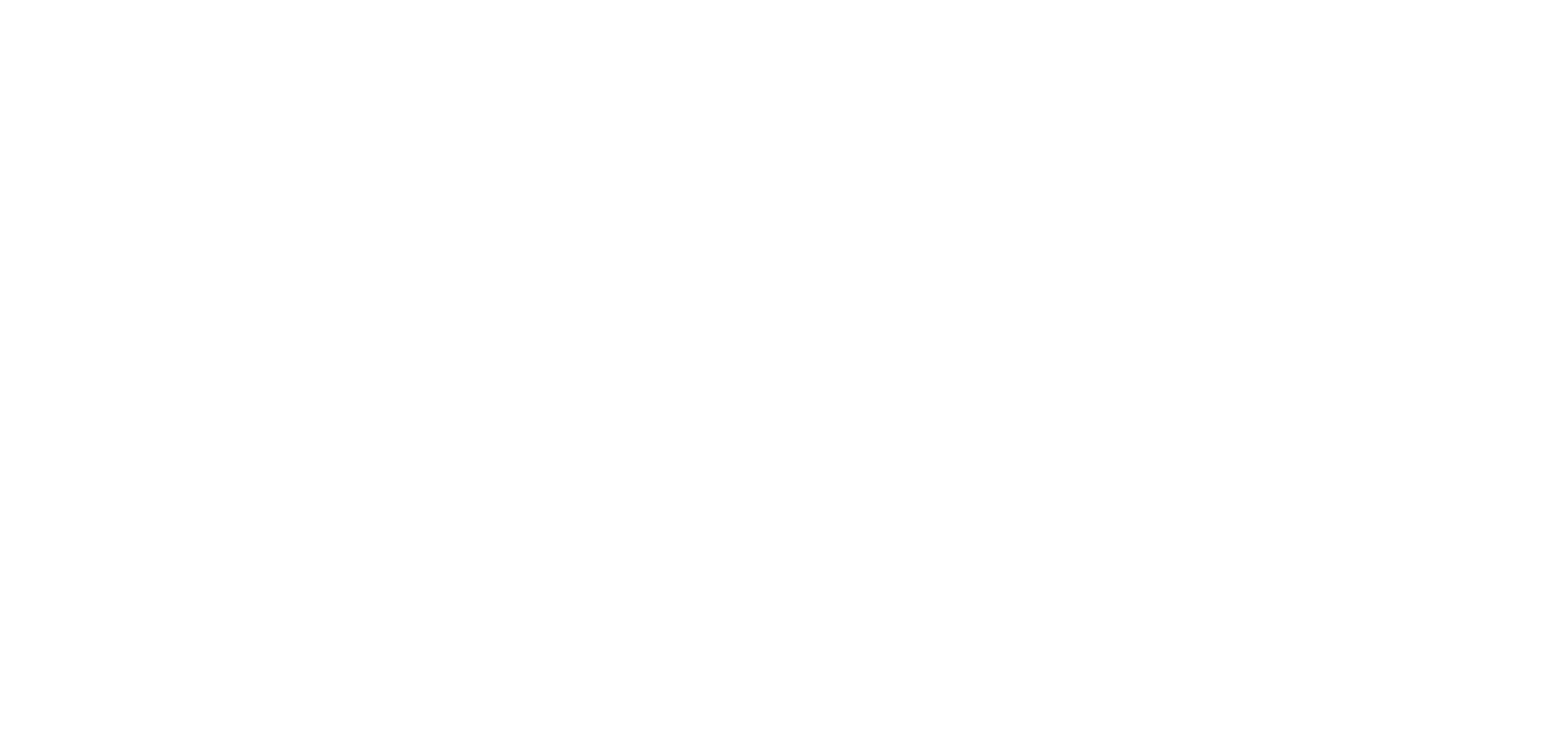 CZ COACH logo
