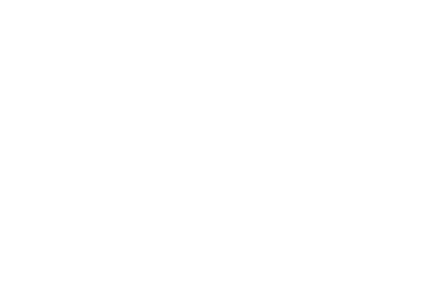 SOUTH MANAGEMENT logo